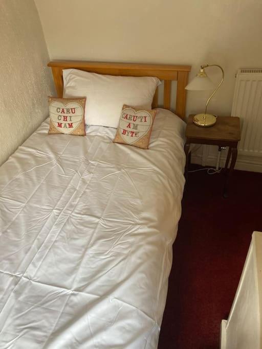 Llandderfel Lovely Peaceful 2 Bed Cottage מראה חיצוני תמונה