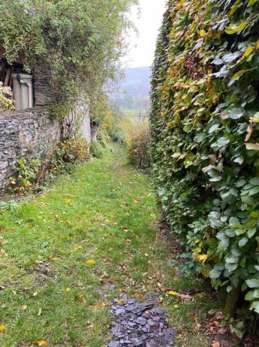 Llandderfel Lovely Peaceful 2 Bed Cottage מראה חיצוני תמונה